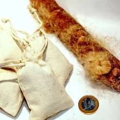 Cattail Anzünden 5 Cattail Anzünden -Celtic Web Merchant Geschaft cattail anzuenden 2