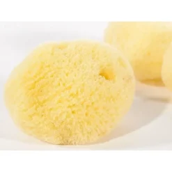 Klassischer Schwamm (Satz Von Drei) -Celtic Web Merchant Geschaft klassischer schwamm satz von drei 2