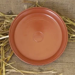 Roman Terra Sigillata Platte